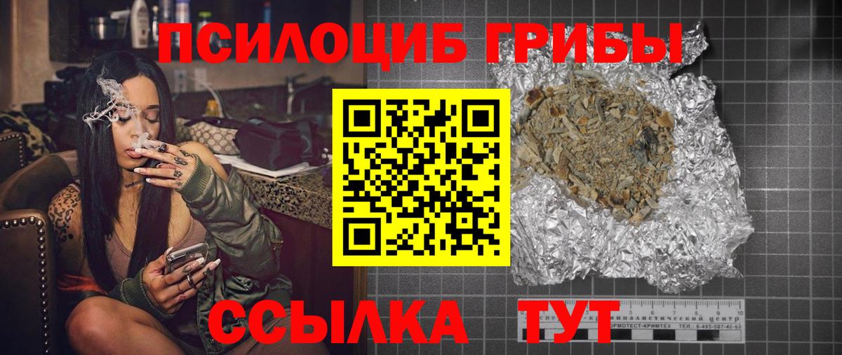 Братск  Псилоцибиновые грибы Cubensis  Вход с VPN 
